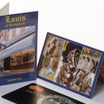 Louis 2 Fold Portrait